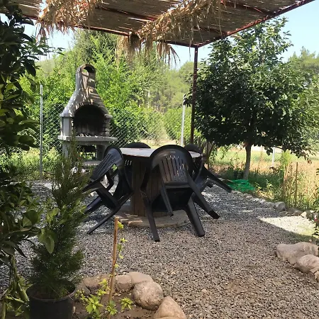 Villa Mukohomes Dalman